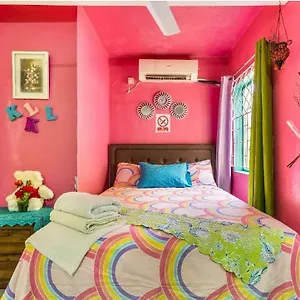 Colorful Private Oasis Homestay Montego Bay
